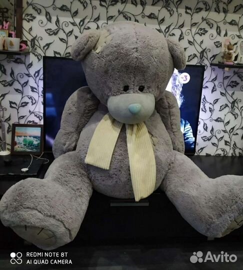 Мишка Тедди