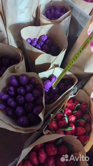 Тюльпаны к 8 марта