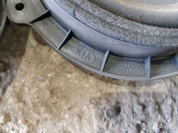 Kia Cerato 2 динамик