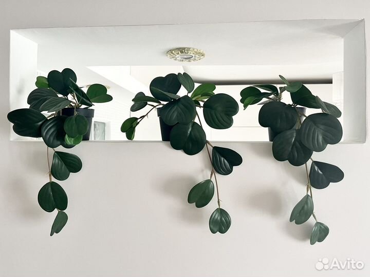 Икеа Фейка растение искусственное