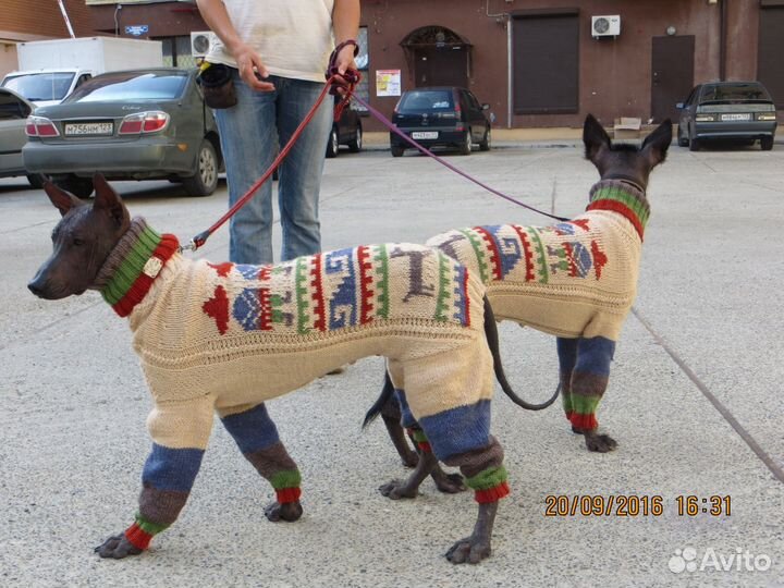 Erna Loos. Одежда для собак и их хозяев