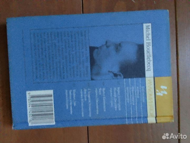 Уэльбек, Элементарные частицы