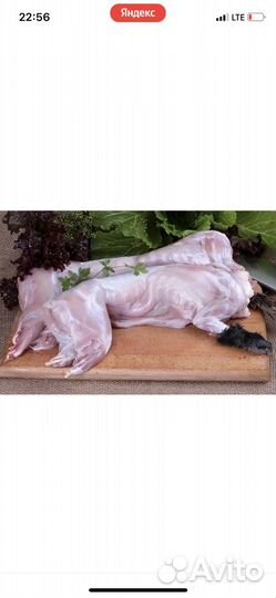 Мясо кролика цена за 1 кг