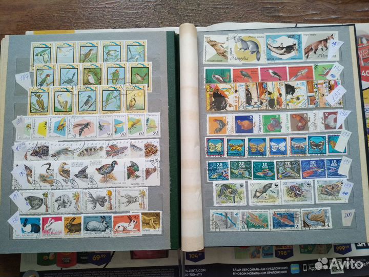 Почтовые марки.Фауна 1