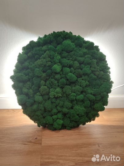 Светящееся панно из стабилизированного мха 3D