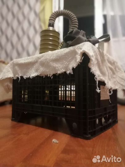 Противогаз гп4у