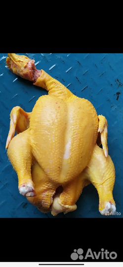 Куры бройлеры тушки