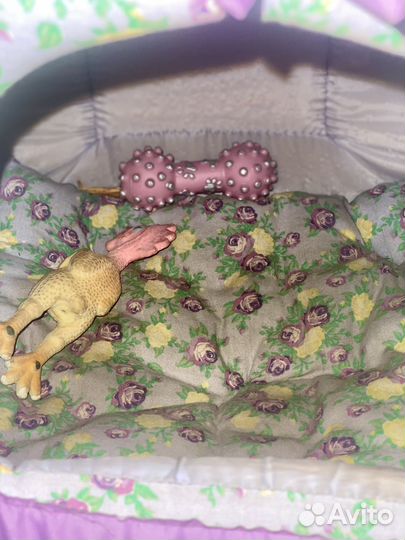 Мягкий домик для собаки