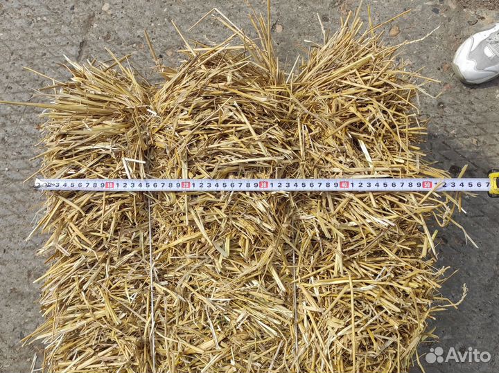 Солома в тюках с доставкой