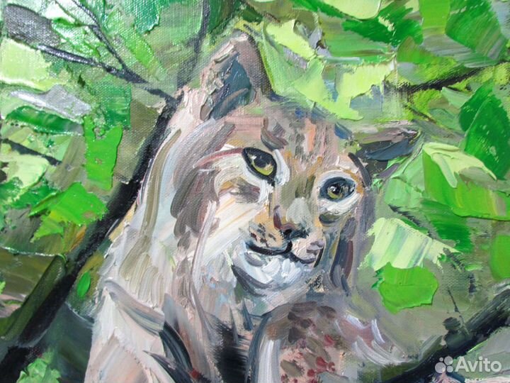 Рысь Картина маслом Холст 40х30 см Анималистика
