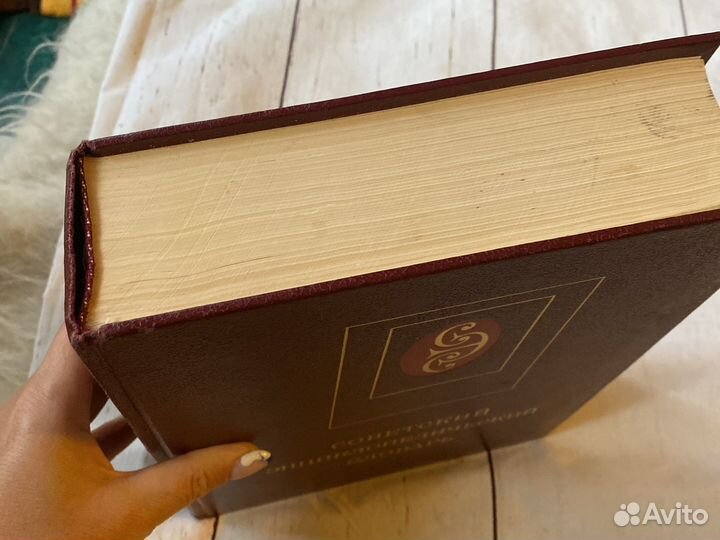 Советский энциклопедический словарь 1983