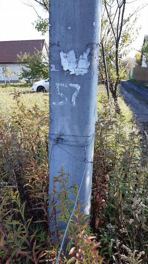 Участок 10 сот. (СНТ, ДНП)