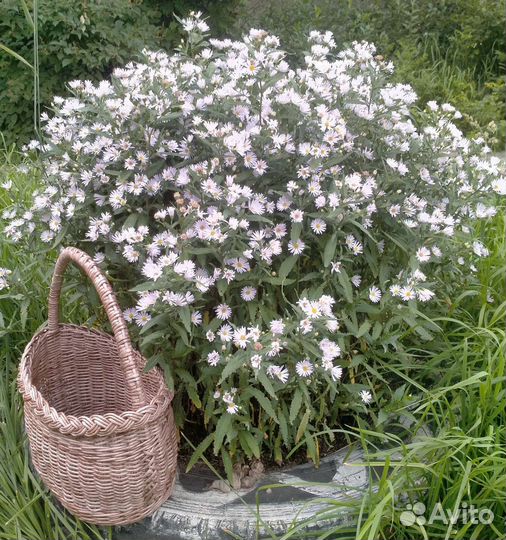 Корзина плетеная из бумажной лозы