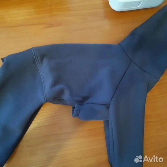 Одежда для собак