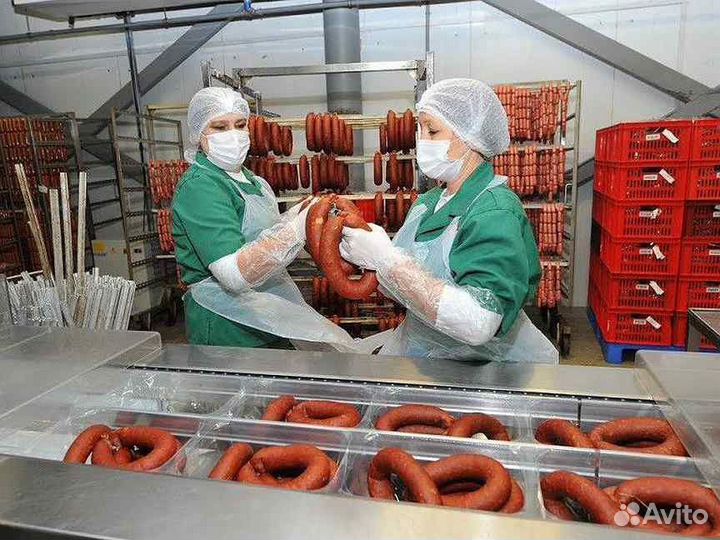 Разнорабочие вахта г.Владимир\проезд
