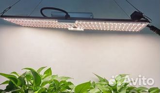 Фитолампа quantum board полный спектр 163 Вт