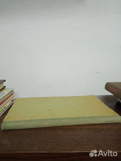 Г. Тавлинова. Декоративные многолетники