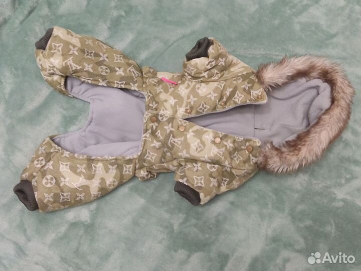 Костюм для собаки