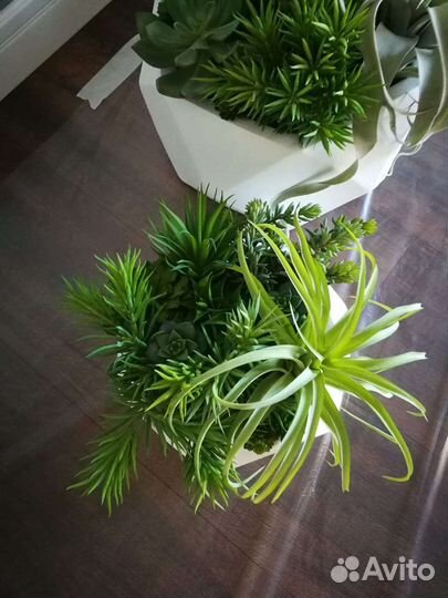 Кашпо, композиции с суккулентами арт 187, от