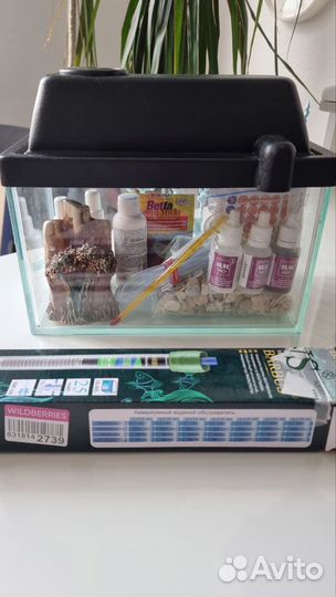 Аквариум для рыбки петушка