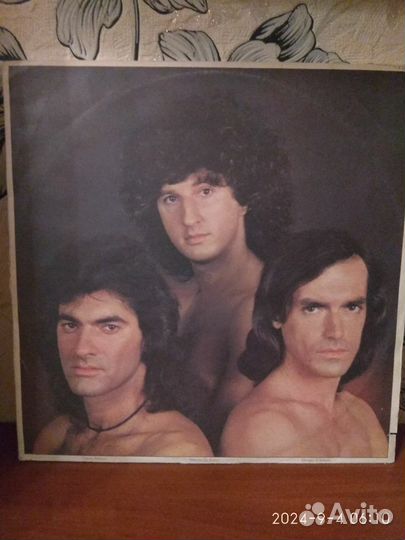 New Trolls LP 1979 mint