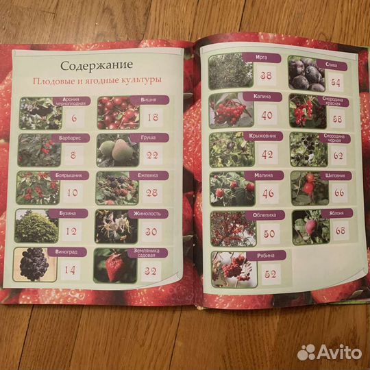 Энциклопедия дачника