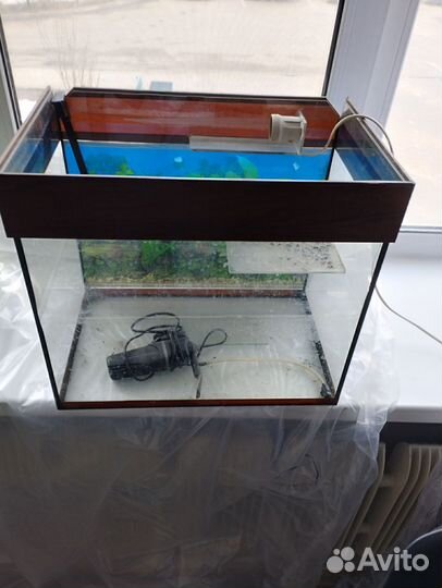 Аквариум