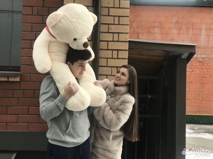 Плюшевые медведи