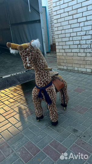 Лошадка поницикл