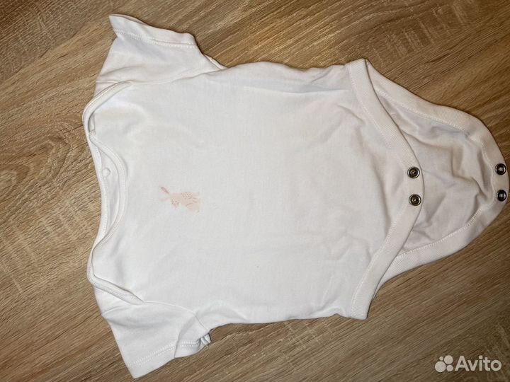 Бодики junior, next