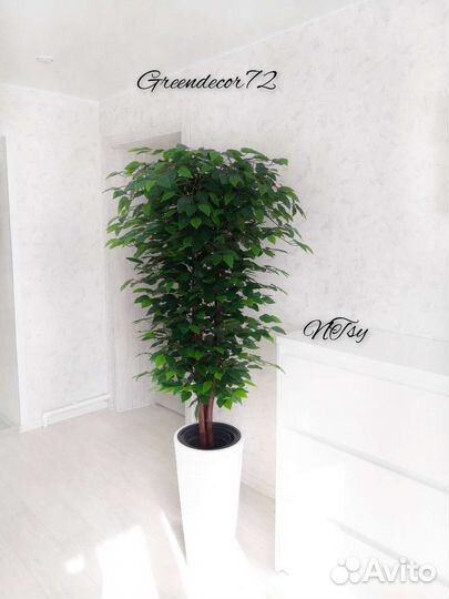 Искусственные растения и деревья Фикус