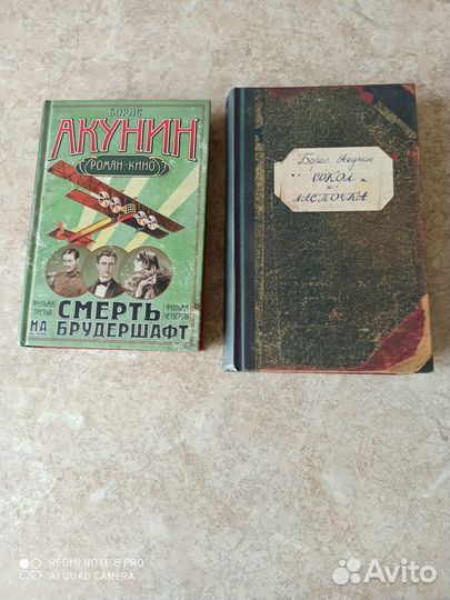 Книги. Литвиновы, Полякова, Устинова, Акунин