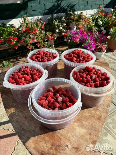 Малина (стоп, заказы сформированы)