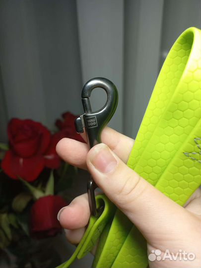 Поводок для собак