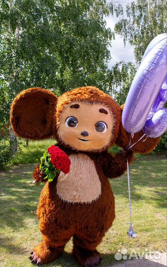 Тот Самый Ушастик на день рождения