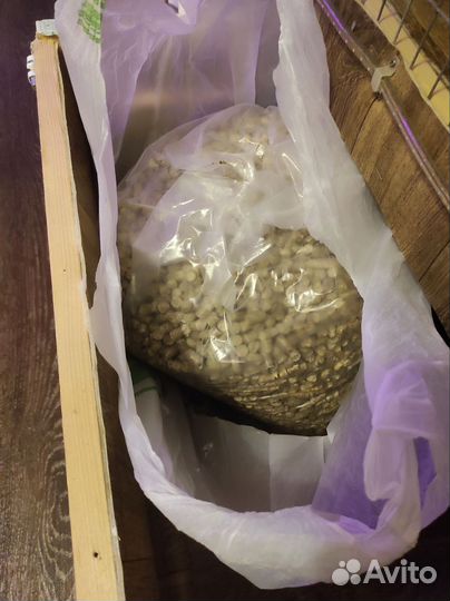 Вольер для морских свинок