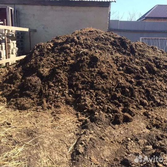 Навоз коровий