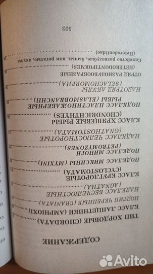 Рыбы и земноводные