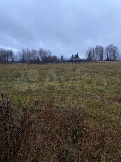 Участок 30 сот. (ИЖС)