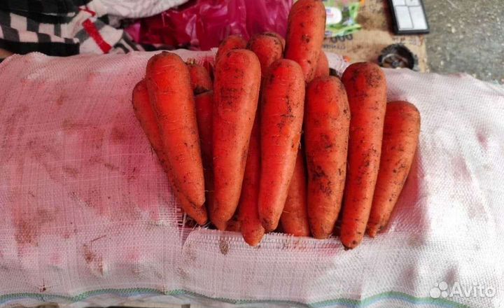 Картошка Оптом и розницу есть и на пасадку