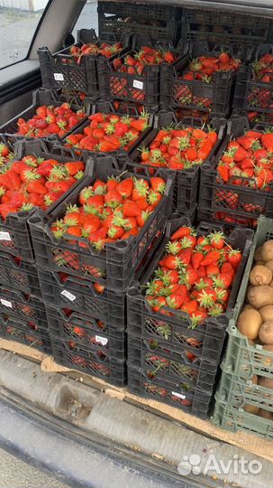 Клубника Азербайджан