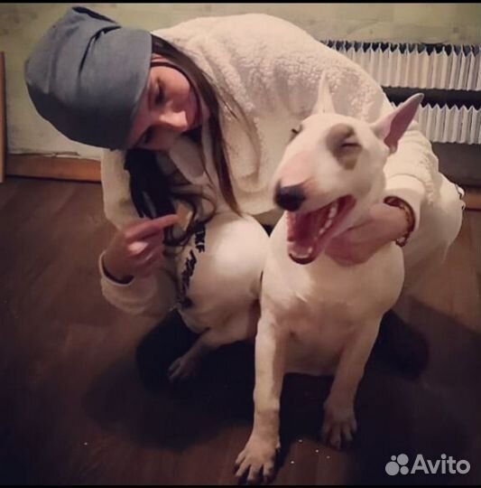 Кинолог, тренер, зоопсихолог, Москва и Щёлково