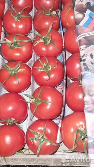 Овощи свежие