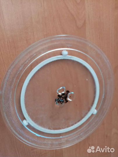 Тарелка для микроволновой печи 24,5