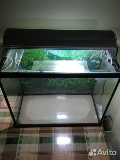 Аквариум 25 литров