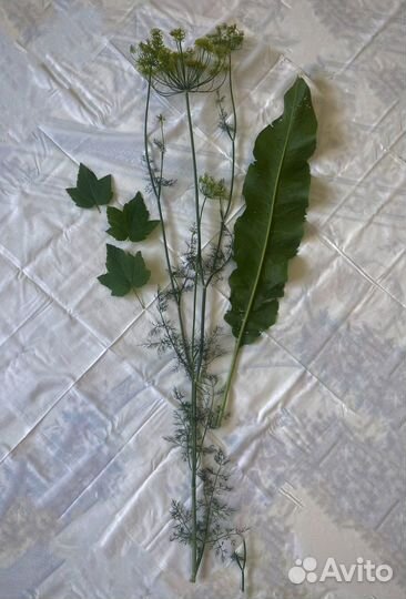 Комплект для засолки