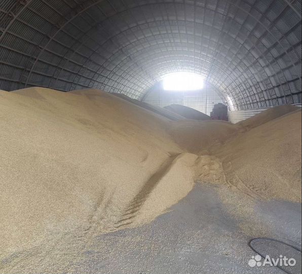 Гречиха, Гречиха корма