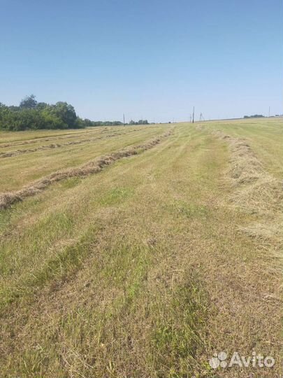 Продам сено в рулонах и салому