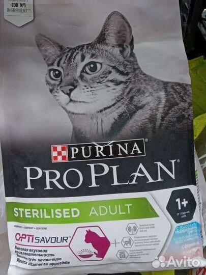 Сухие корма кошек