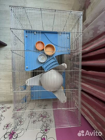 Клетка для грызунов iMac Rat 80 MID 800*485*630 мм